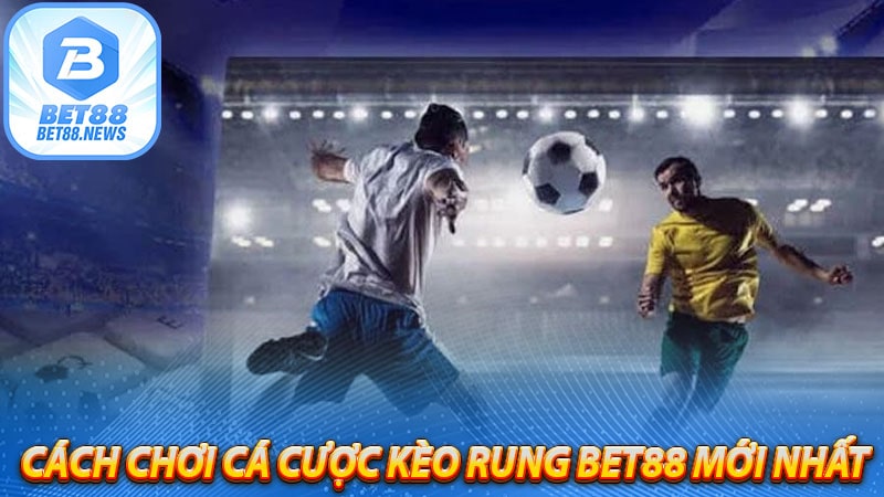 Cách chơi cá cược kèo rung bet88 mới nhất